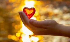 Branża gastronomiczna i akcje charytatywne